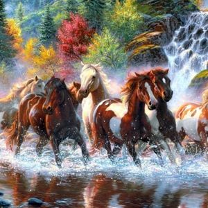 Meet your Posher, Shelbey